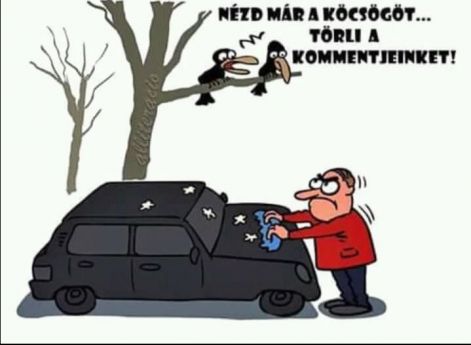 Nézd már ...